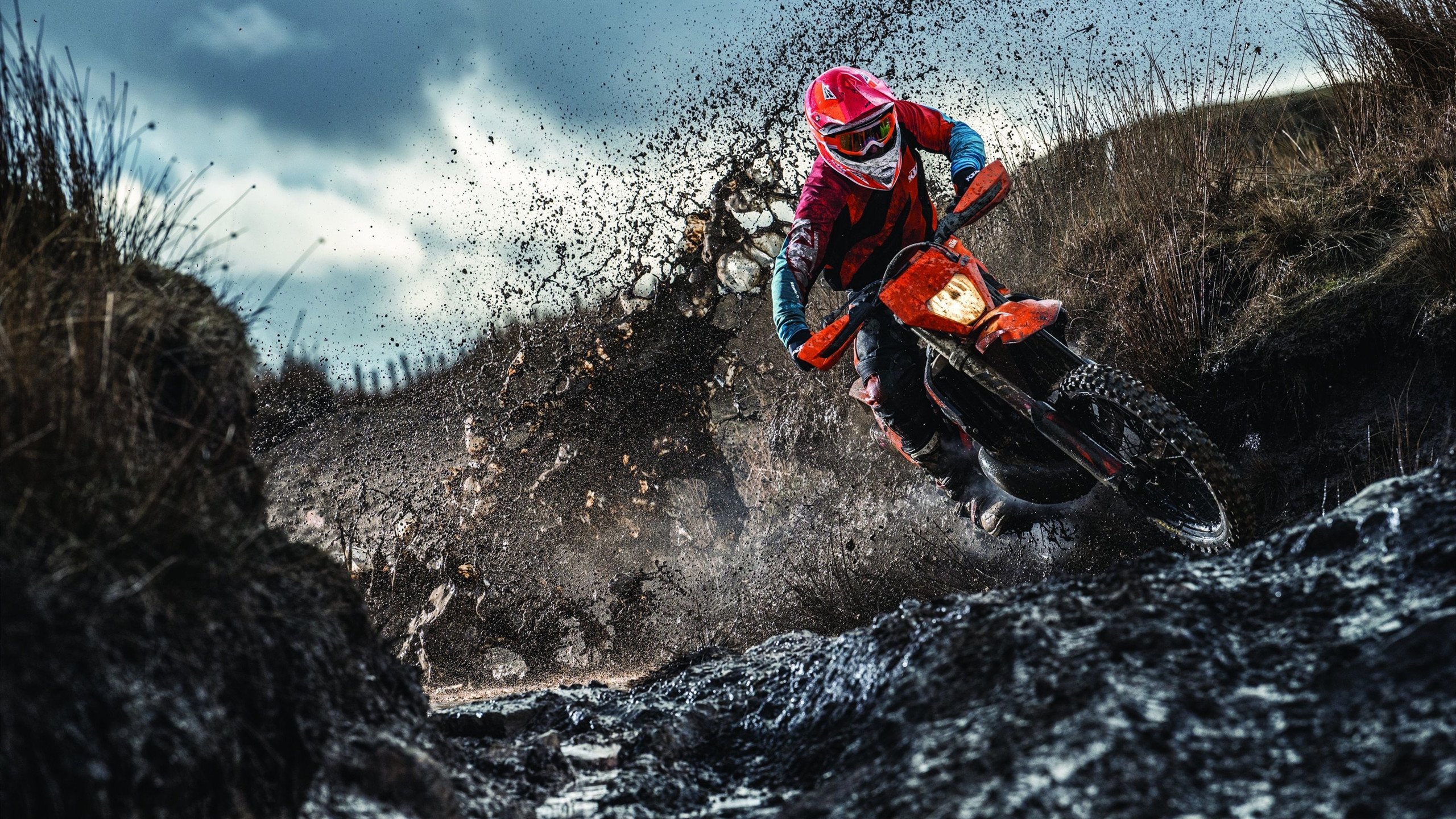 开云体育中国-跨越山海的双城记,当辽宁横扫与英超争霸,书写体育的强者哲学